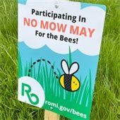 No Mow May for the Bees