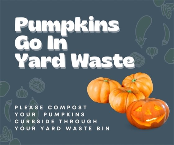 pumpkins go in yard waste