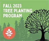 Tree Planting Program