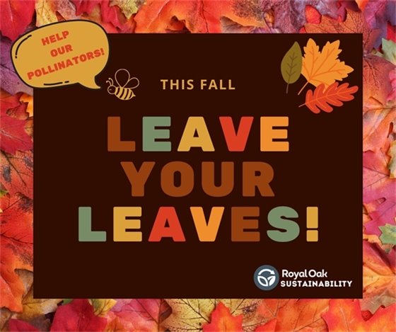 Leave Your Leaves