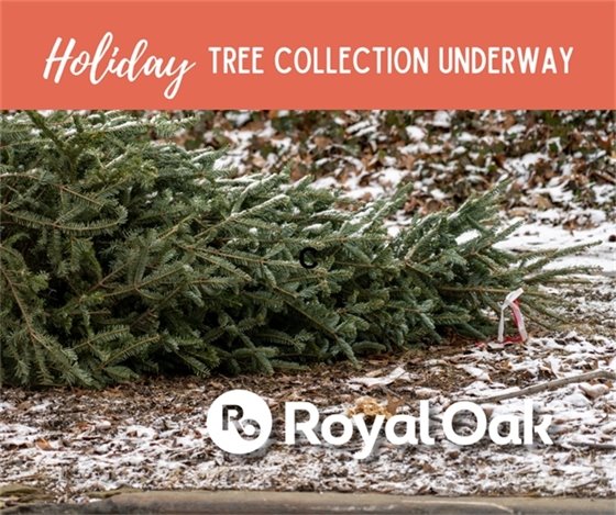 Holiday Tree Collection Undarway