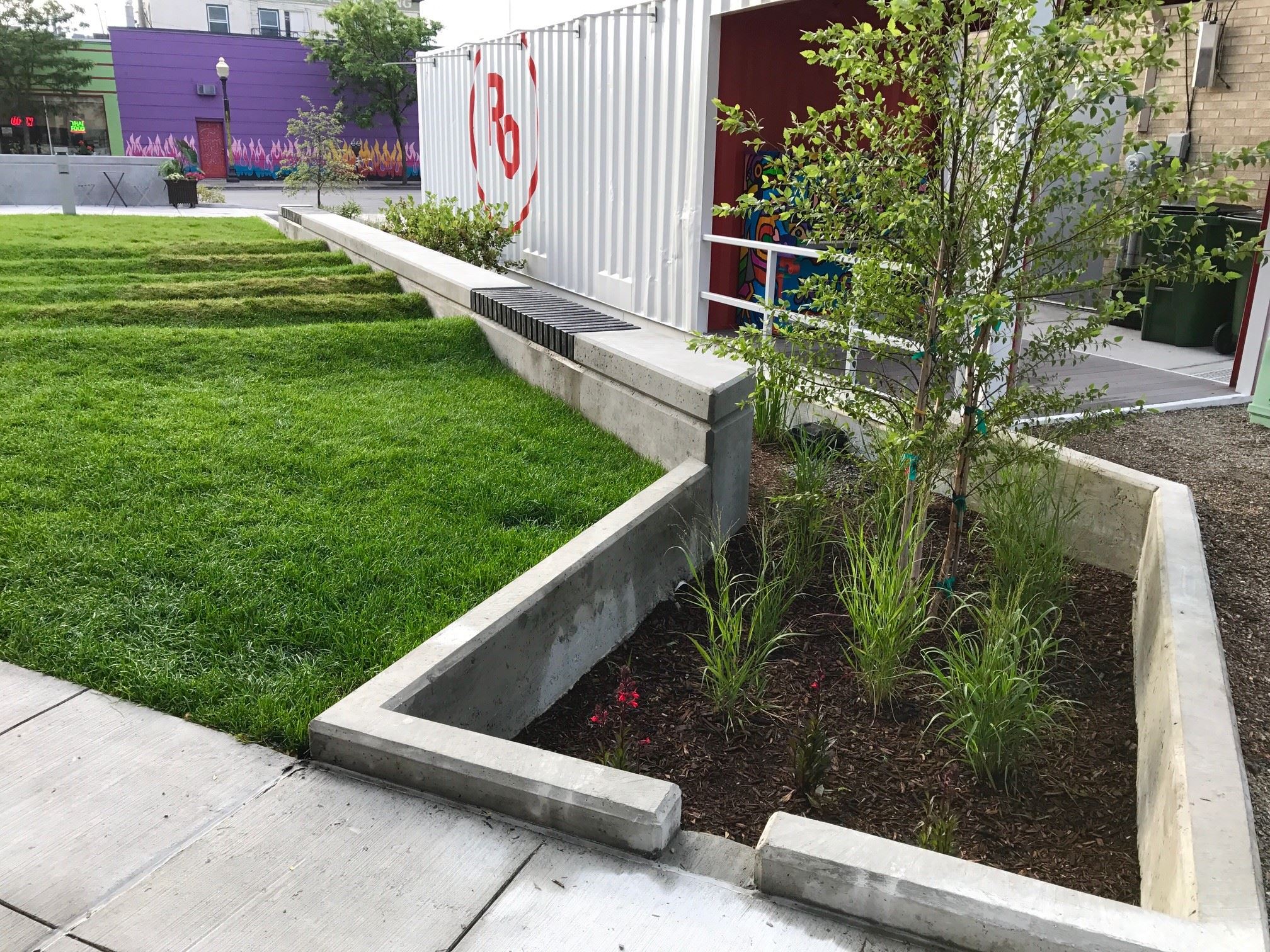 Eagle Plaza Rain Garden