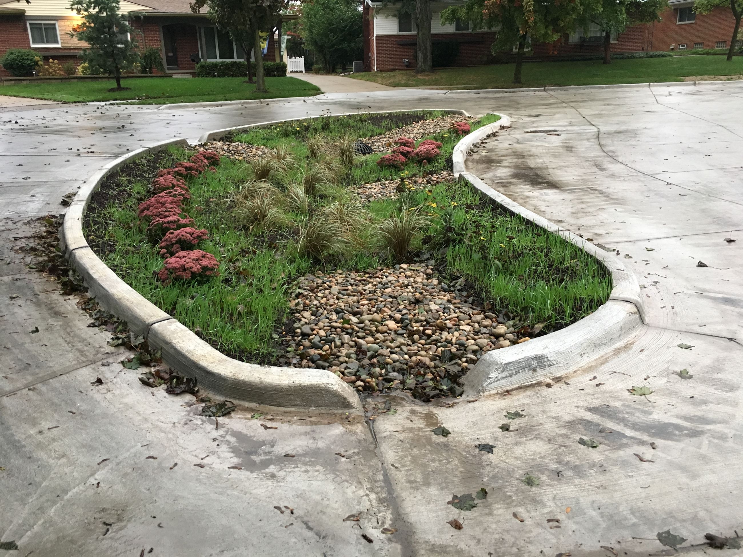 Yorba Linda rain garden