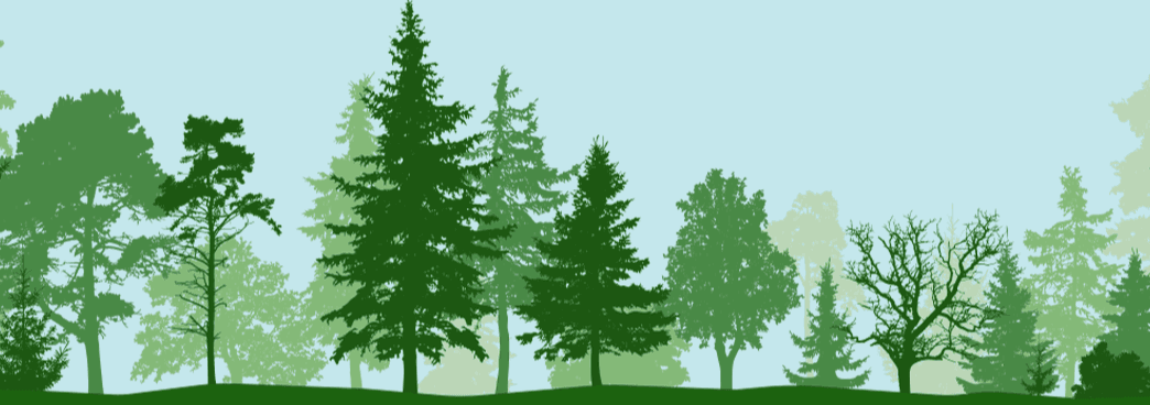 Graphic image showing a variety of trees in a row.