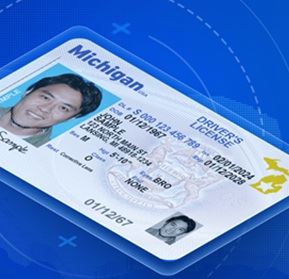 Michigan driver's license example