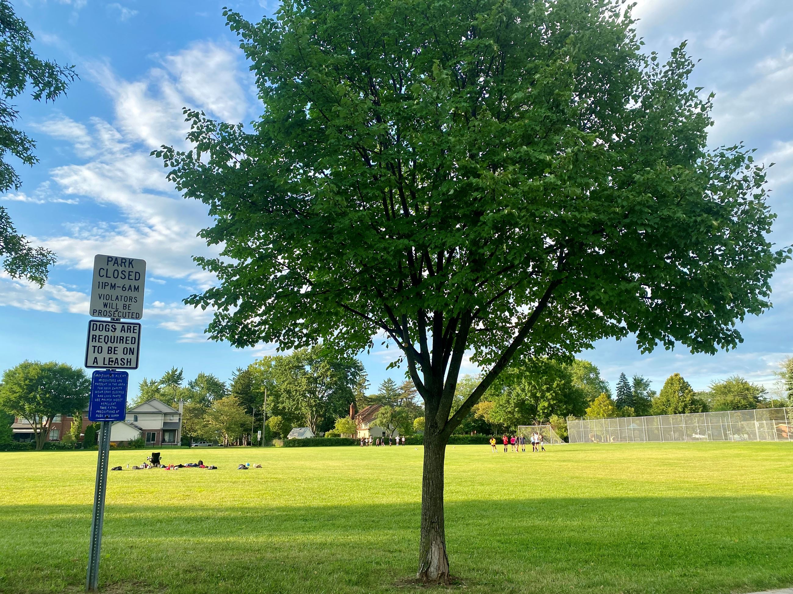 Dickinson Park